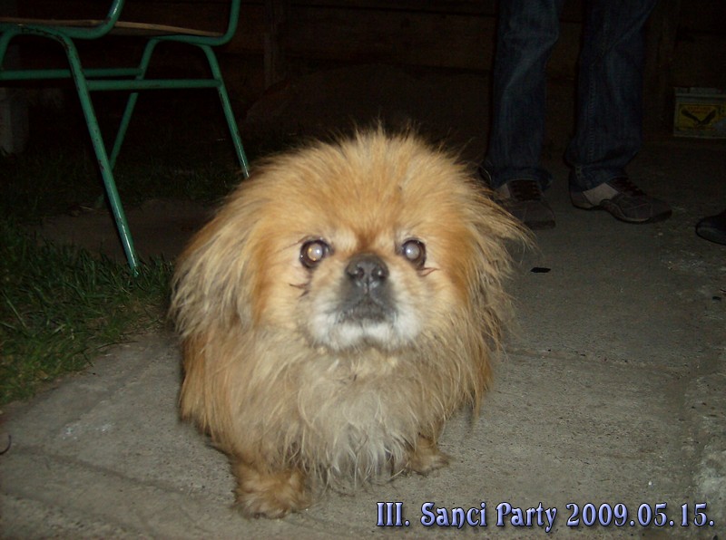III.Sanci.Party.152.jpg